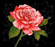 uner ose scintillante avec un coeur dans le ciel.
